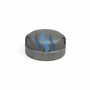 Tapa Gorro A197 Negro 300lbs NPT