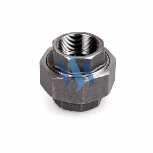 Union Acero Forjado A105 3000lbs NPT